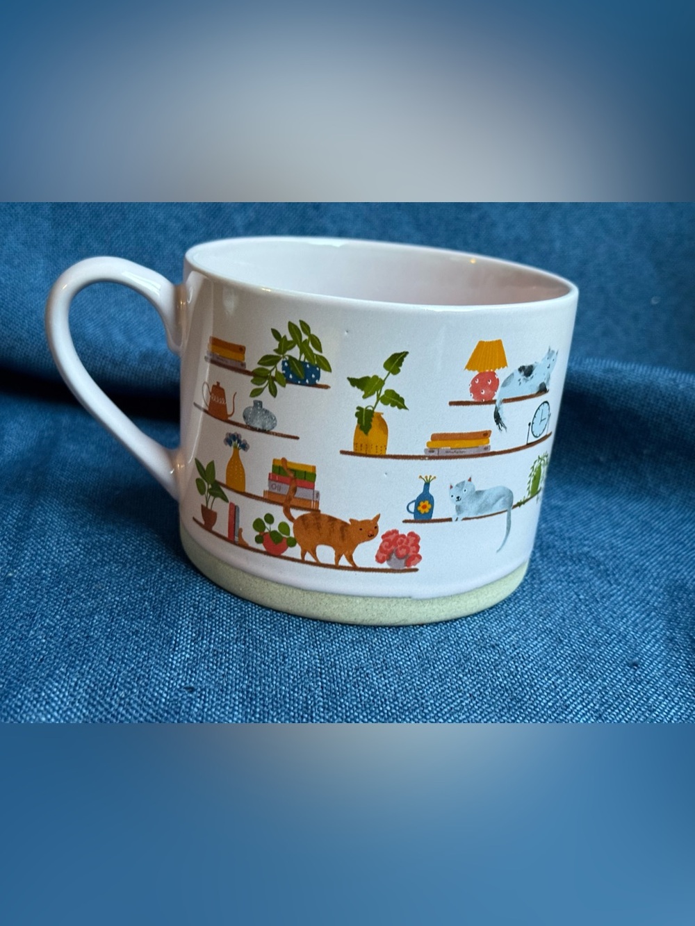 Prima Design Cat Bookshelf Large Coffee Soup Mug